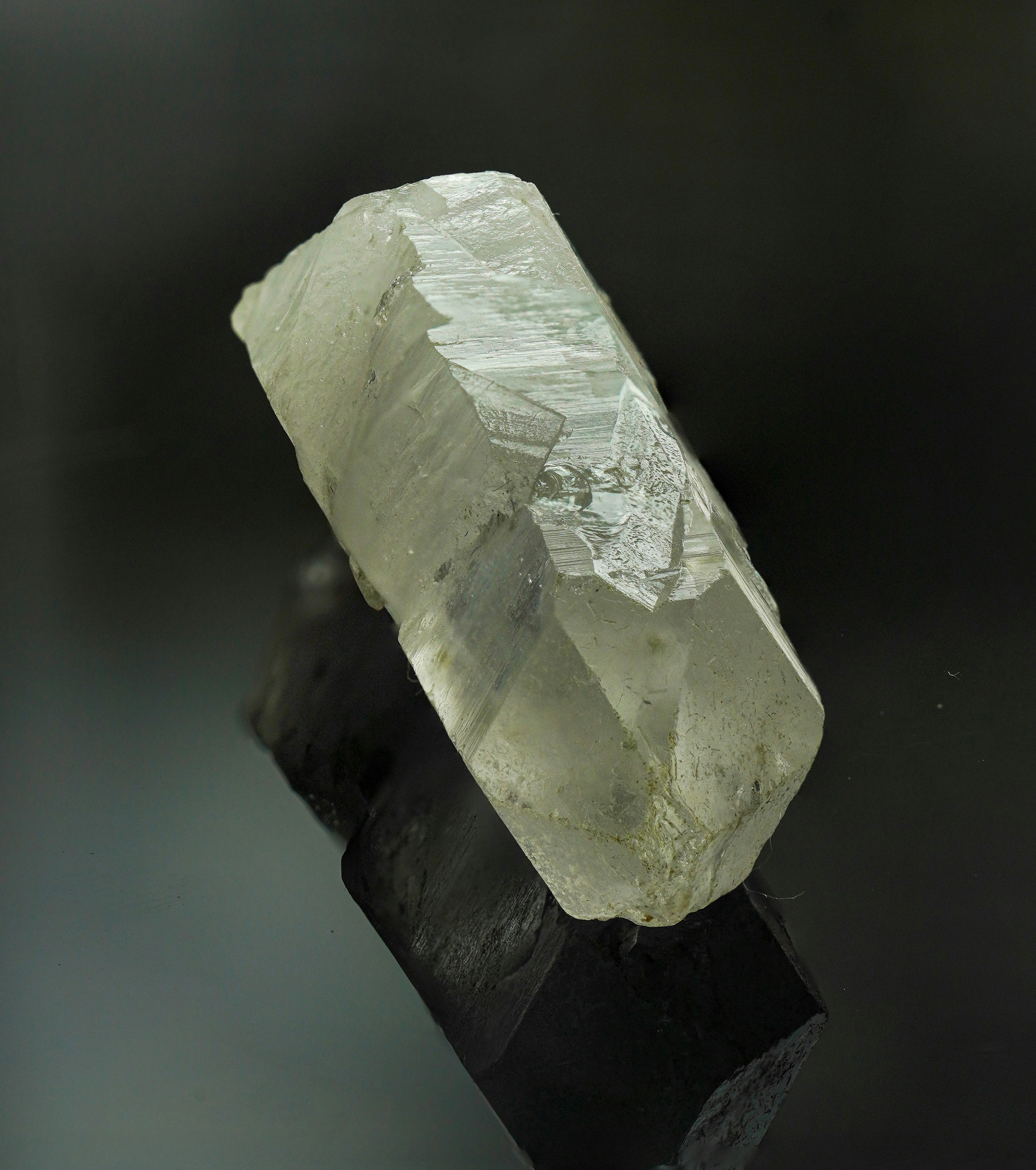 Woman in a suit, holding a flower, bathed in warm light